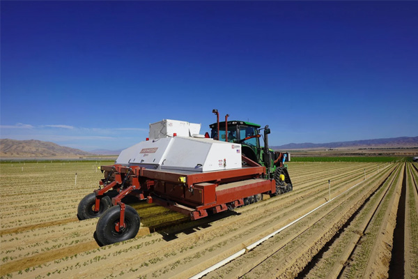 How Planetary Geared BLDC Motors Enhance Robotic Weed Control