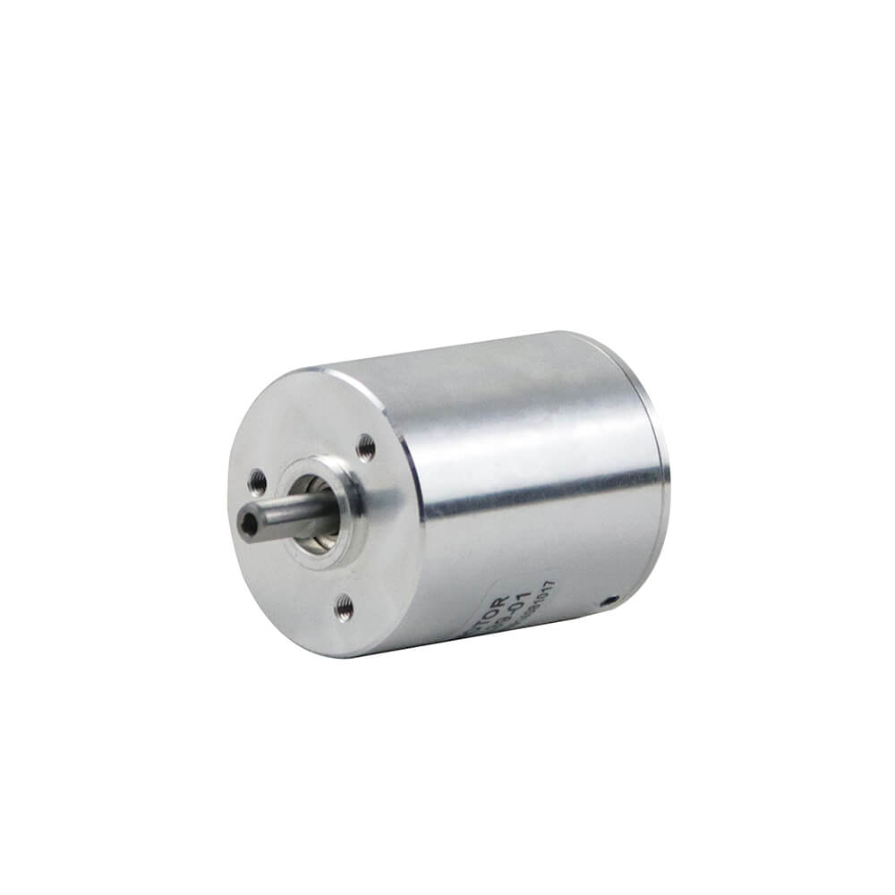 bldc motor 24v