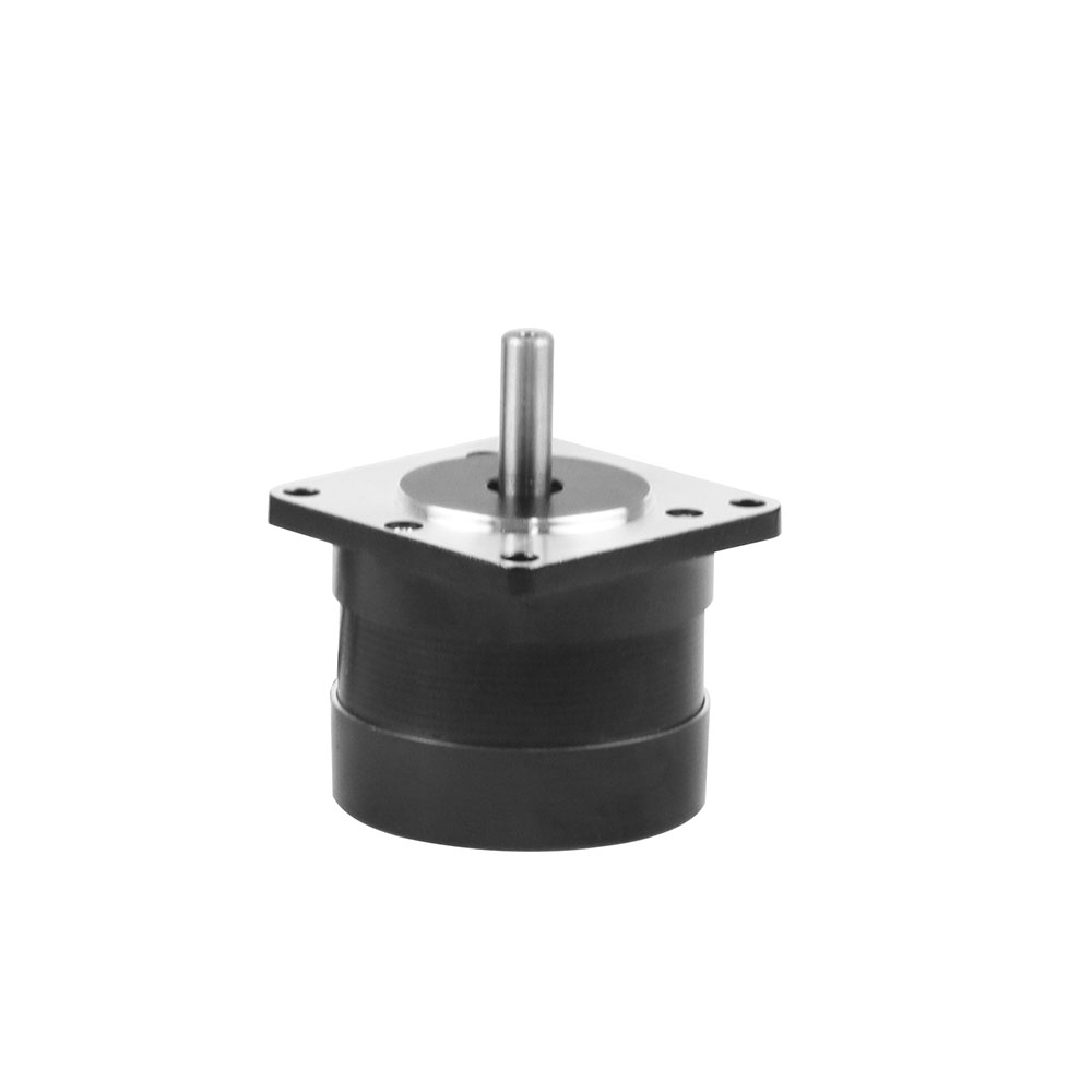 36v brushless dc motor