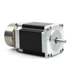 nema 24 stepper motor voltage