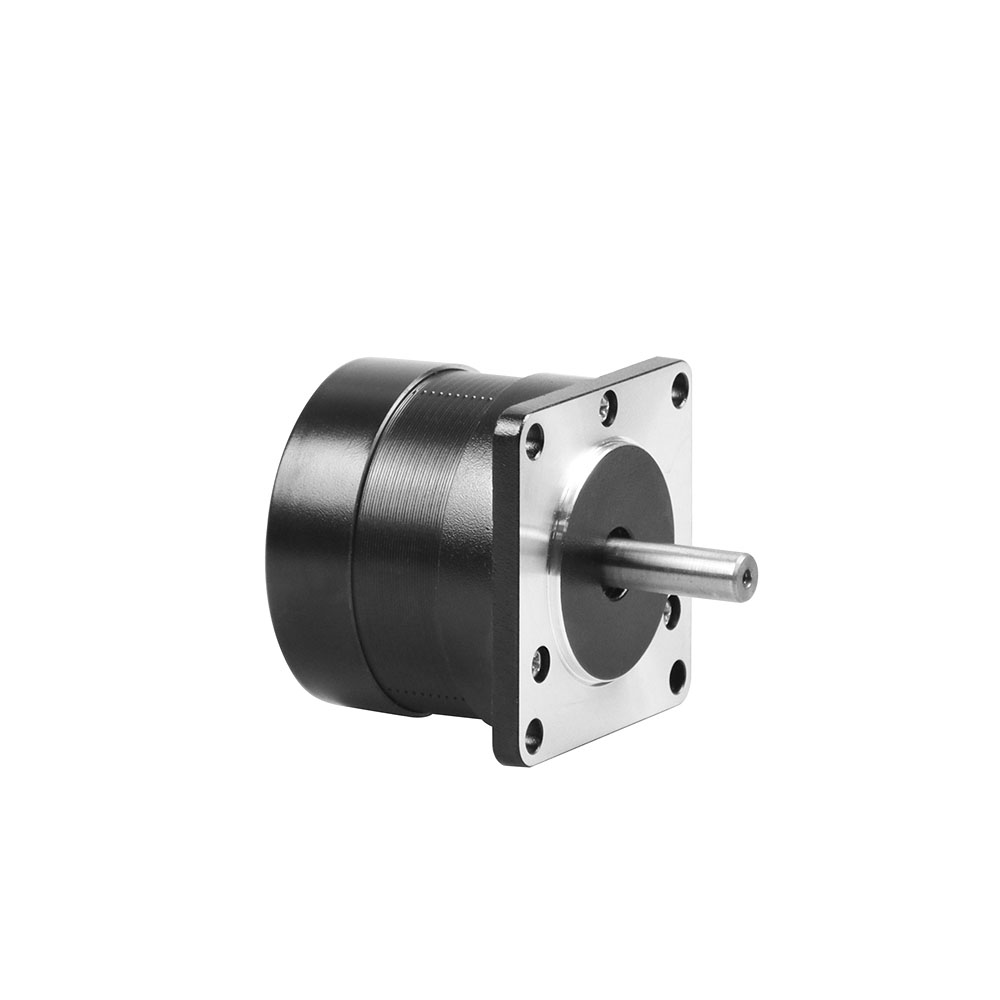 brushless dc electric motor
