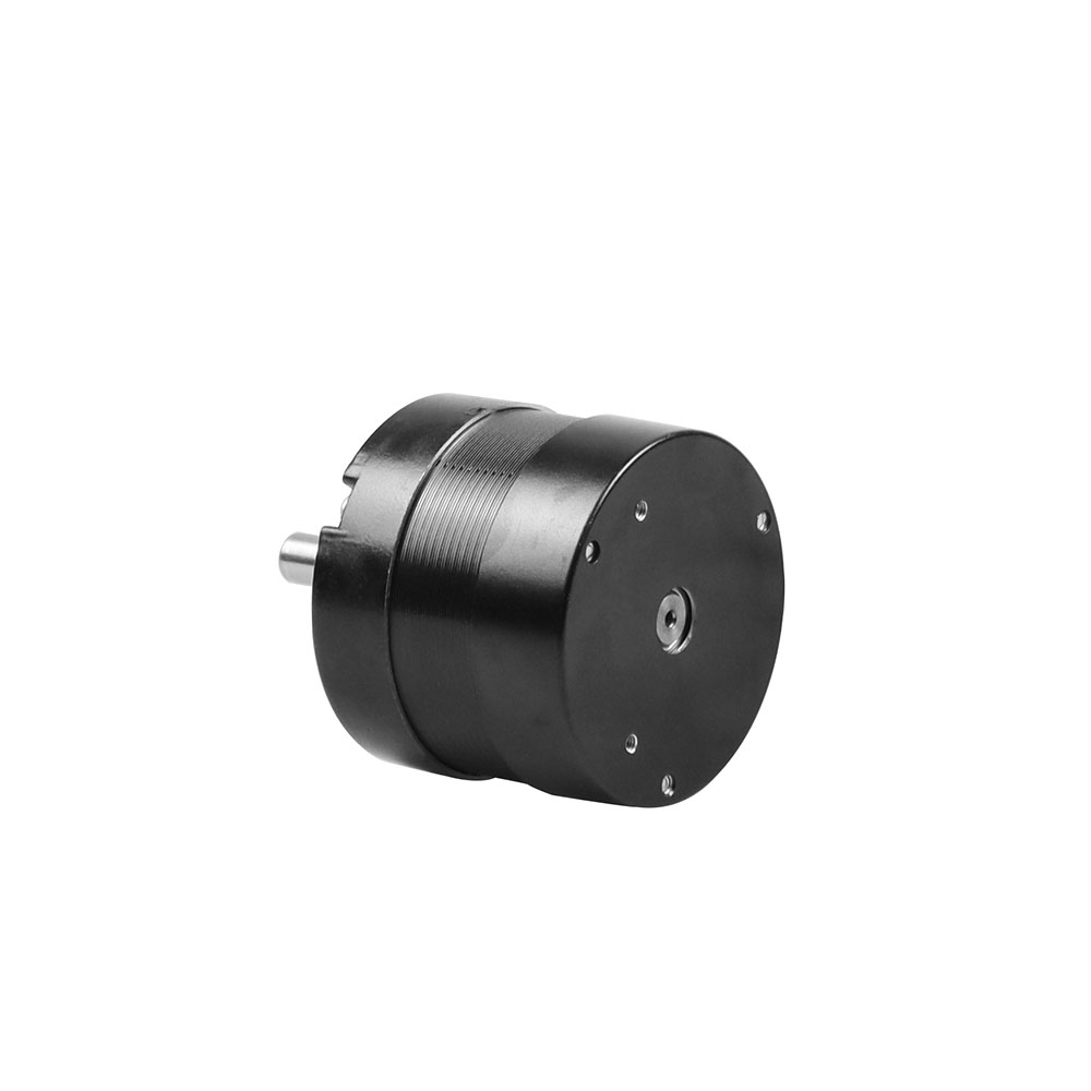 bldc motor controller 48v