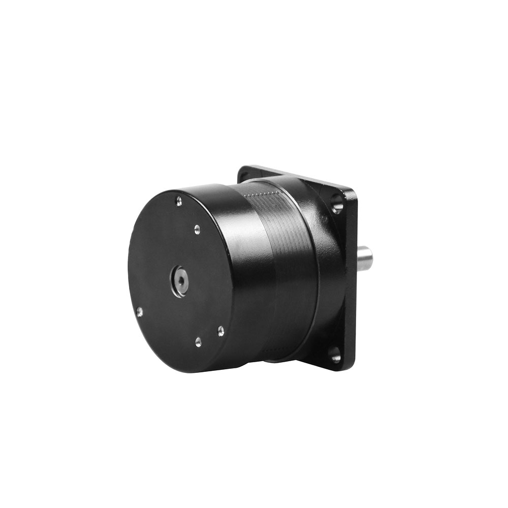 bldc electric motor​