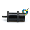 brushless dc motor and controller
