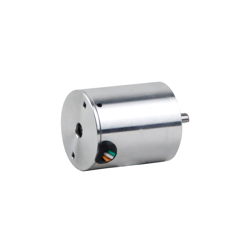 24v bldc motor price in india