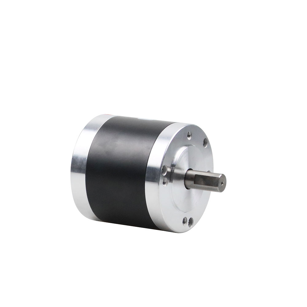 1000w brushless dc motor